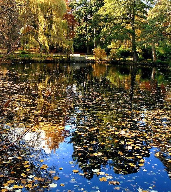 Schlosspark