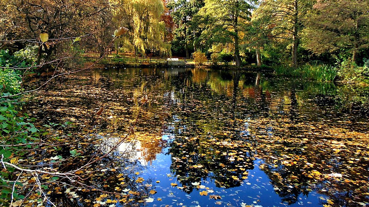 Schlosspark
