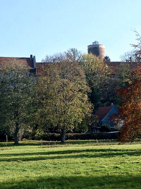 Vienenburgs Wahrzeichen