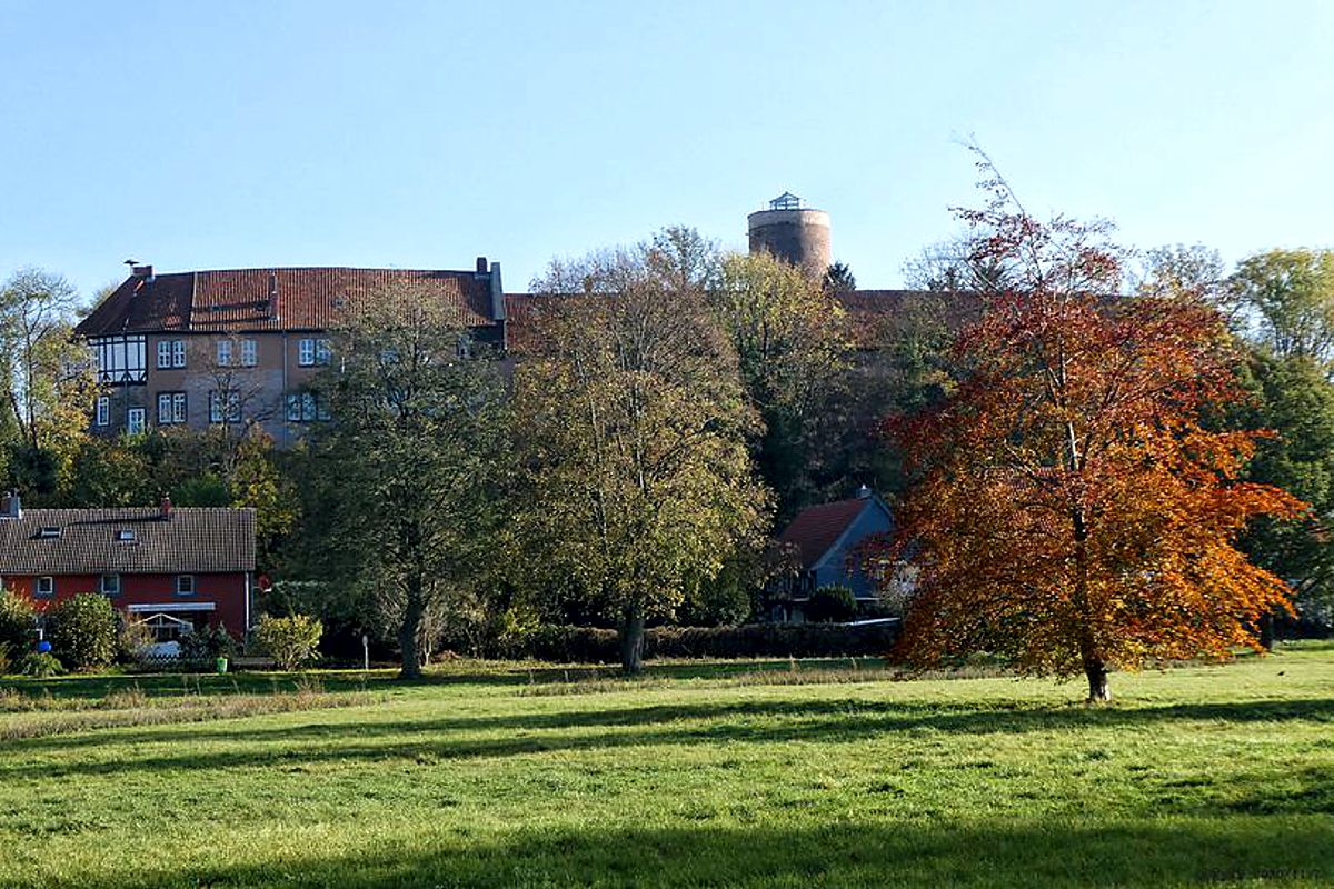 Vienenburgs Wahrzeichen