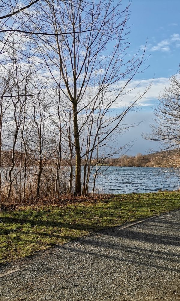 Vienenburger See