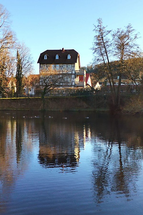 WebAm Kahnteich in Goslar 3 1 2023 600x900