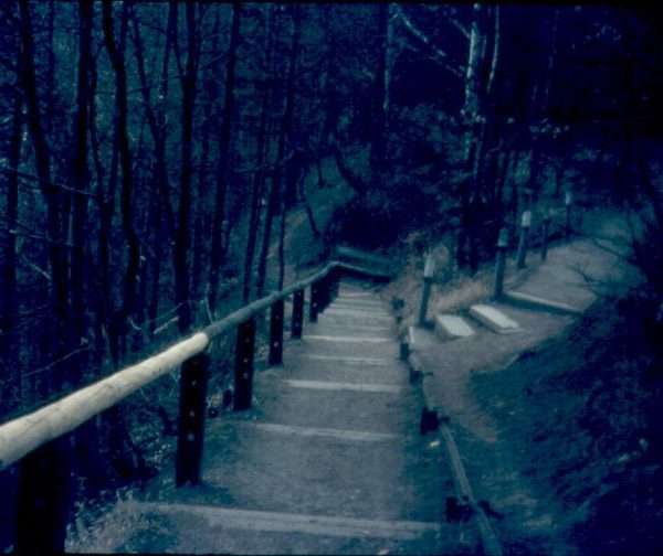 Allen Vienenburg 1974 im Harly