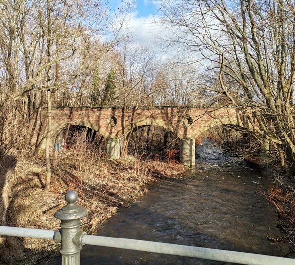 Birgit Blümchen   An der Eisenbahnbrücke über der Radau bei Vienenburg Dezember 2023