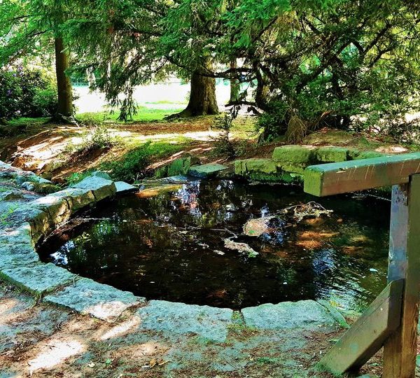 Helmut Gleuel   Der kleine Gebirgsbach Bleiche fließt durch den Schlosspark in Bad Harzburg Bündheim und mündet in der Radau